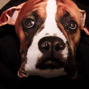 Boxer dog pillow
